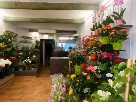 vente fonds de commerce fleuriste 13290 les milles