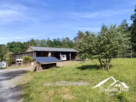 bâtiment de 300 m² avec 1 44 hectare de terrain – de nombreuses possibilités d’exploitatio