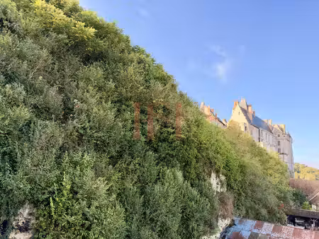 ensemble atypique au coeur de châteaudun  avec ses anciennes