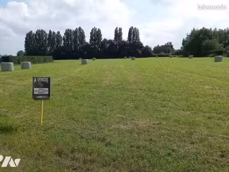 terrain 3700 m² aire sur la lys