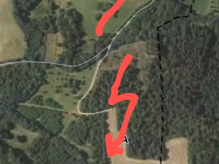 forêt  bois  terres