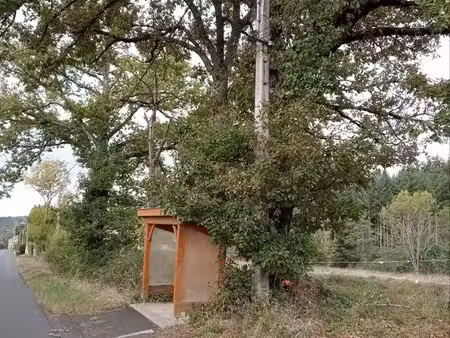 terrain viabilisé