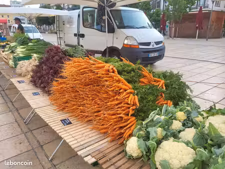 ferme maraichage ab à transmettre