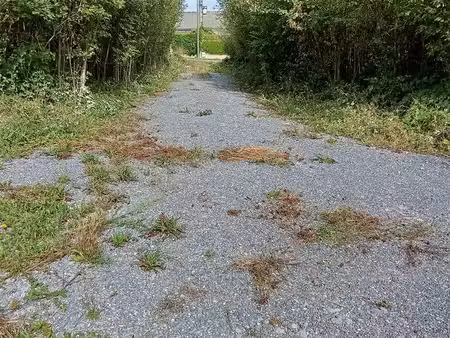 terrain plat 6600m2