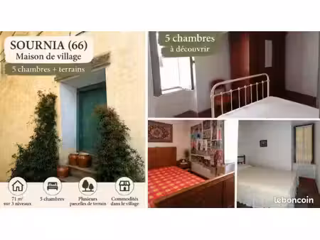 ? sournia – maison de village 5 chambres + parcelles de terrain