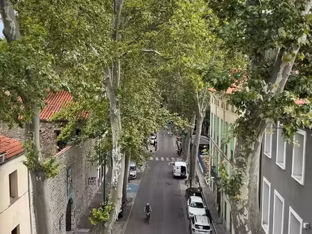 ceret centre historique superbe appartement a restaurer