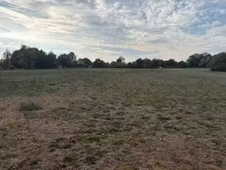 vente terrain à questembert (56230) : à vendre / 26970m² questembert