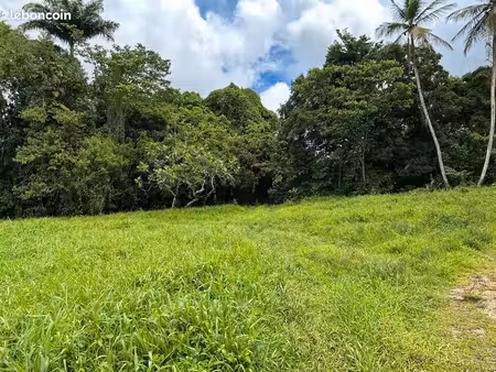 terrain constructible 650 m² — beau soleil  les abymes — grands fonds  secteur calme