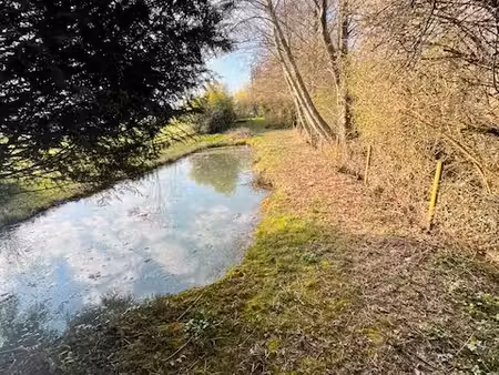 étang  terrain  havre de paix au cœur de la nature