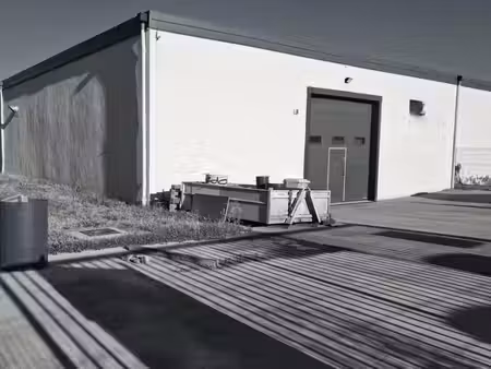 vente local d’activités lancie 69220 300m²