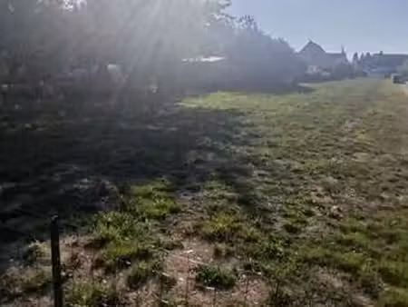 vente terrain à rieux (56350) : à vendre / rieux