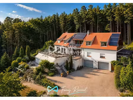 maison de luxe de 10 pièces en vente à colmar  grand est