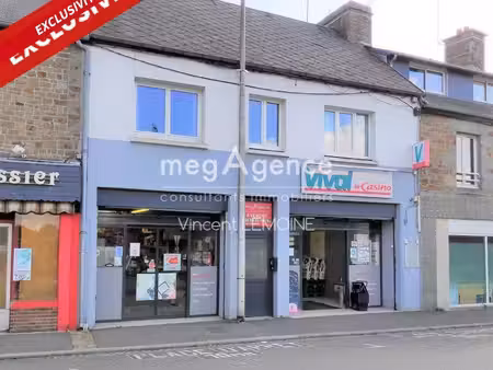 immeuble avec local commercial et 2 appartements – bon rendement locatif
