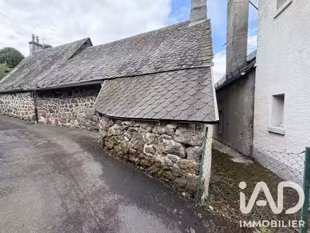 maison à vic-sur-cère (15800)