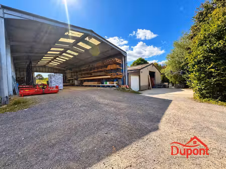 à vendre – 2 hectares avec 710 m² de hangars à regniowez
