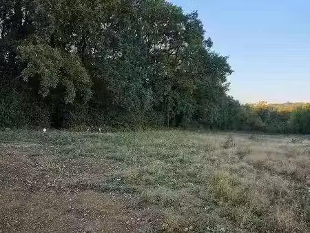 vente terrain 421 m² à saint-michel (16470)  40 000 €