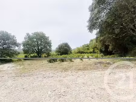maison à vendre - 2 pièces - 180 m2 - carnas - 30 - languedoc-roussillon