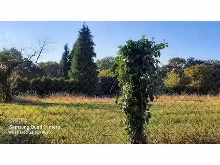 vente terrain à confolens (16500)  34 800 €