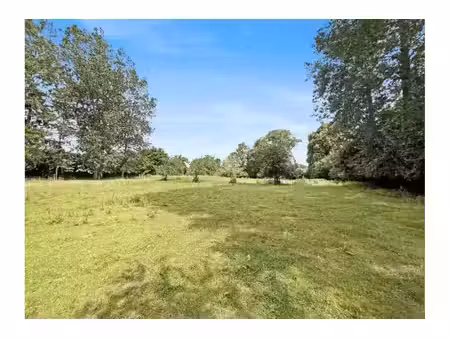 terrain à vendre de 3455 m² à chaumont-gistoux (vbe76429)