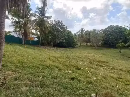 terrain à vendre le gosier 968m2 205 000€