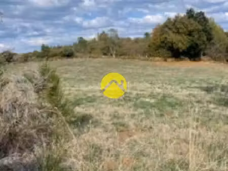 terrain agricole