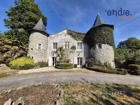 splendide domaine de caractère à fort potentiel touristique (g