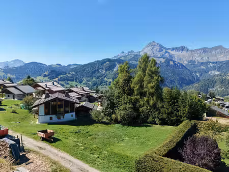 vente terrain