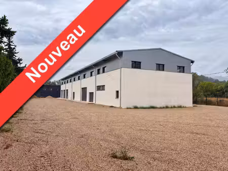 achat local commercial 335m²