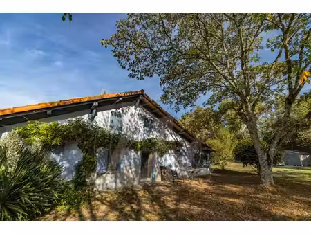 achat maison 16 pièces 500m² luglon 40630
