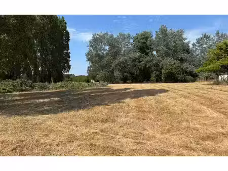 terrain à vendre