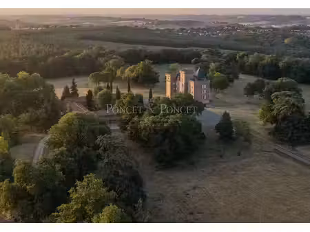 prestigieux château en vente toulouse  occitanie