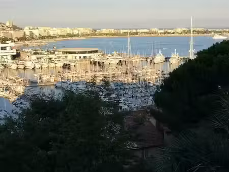 vente locaux professionnels 0 pièces 180 m² à cannes (06400)  400 000 €