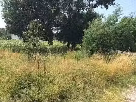 terrain à construire