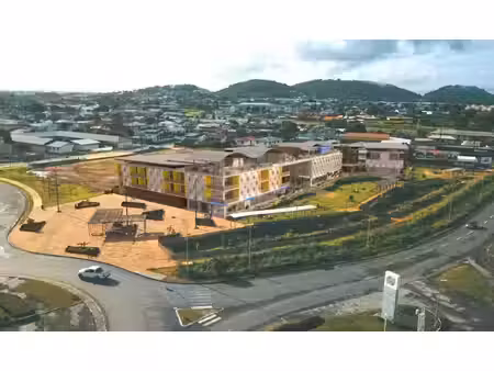 vente locaux professionnels 342 m² à cayenne (97300)  1 093 056 €