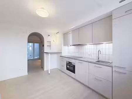 appartement 1 chambre entièrement rénové