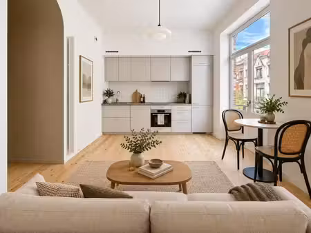 appartement 1 chambre entièrement rénové