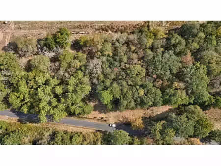 terrain de 3 829 m² – environnement calme – vente en totali