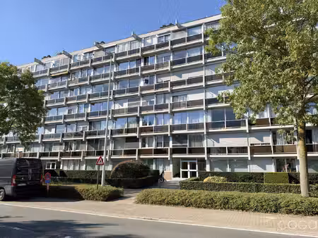 appartement te huur in schoten met 2 slaapkamers