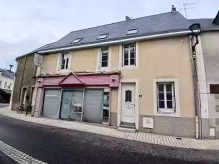 vente maison à meslay-du-maine (53170) : à vendre / 440m² meslay-du-maine