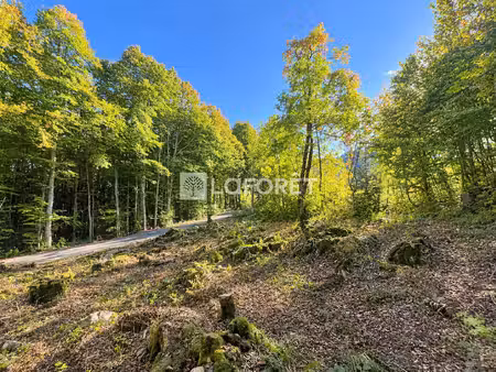 terrain constructible de 1 023 m² avec permis de construire accordé