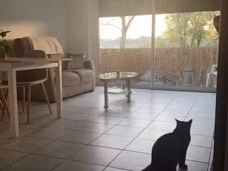 appartement à louer carmaux