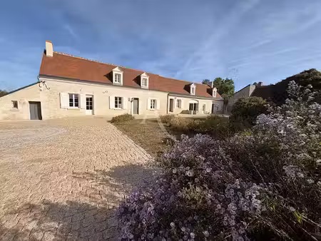 vente maison 9 pièces 400 m² à cigogné (37310)  766 500 €