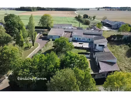 domaine de 2 maisons avec possibilité d'une 3éme sur grand terrain 6500m² à moragne (17)