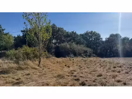 terrain