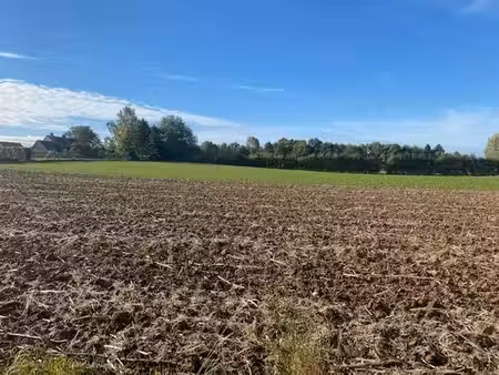vente terrain