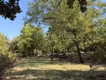 vente terrain 1000 m² à la celle (83170)  165 000 €