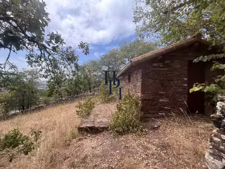 rebourguil terrain à bâtir avec mazet en pierres de 2653 m2