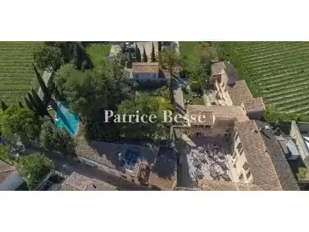 propriété avec piscine sernhac (30)