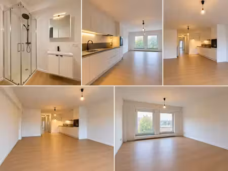 appartement 1 chambre lumineux et entièrement rénové