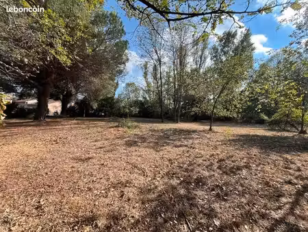 terrain 2 671 m² montaut